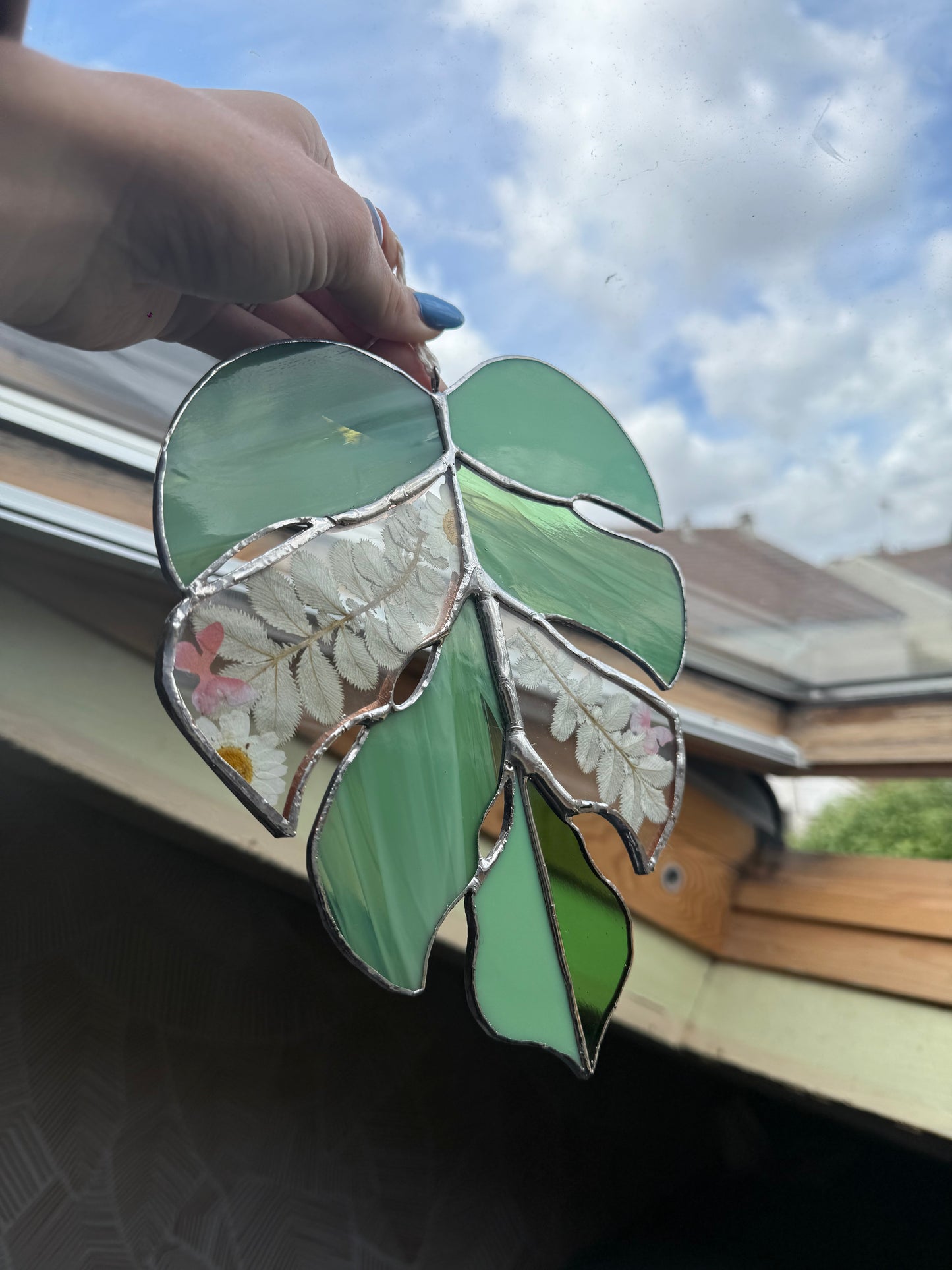 Monstrea fleur séchée