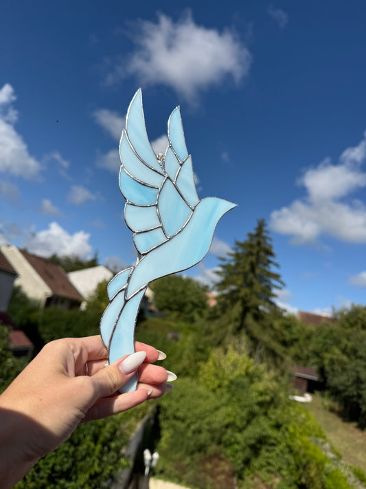 Colombe bleu marbré