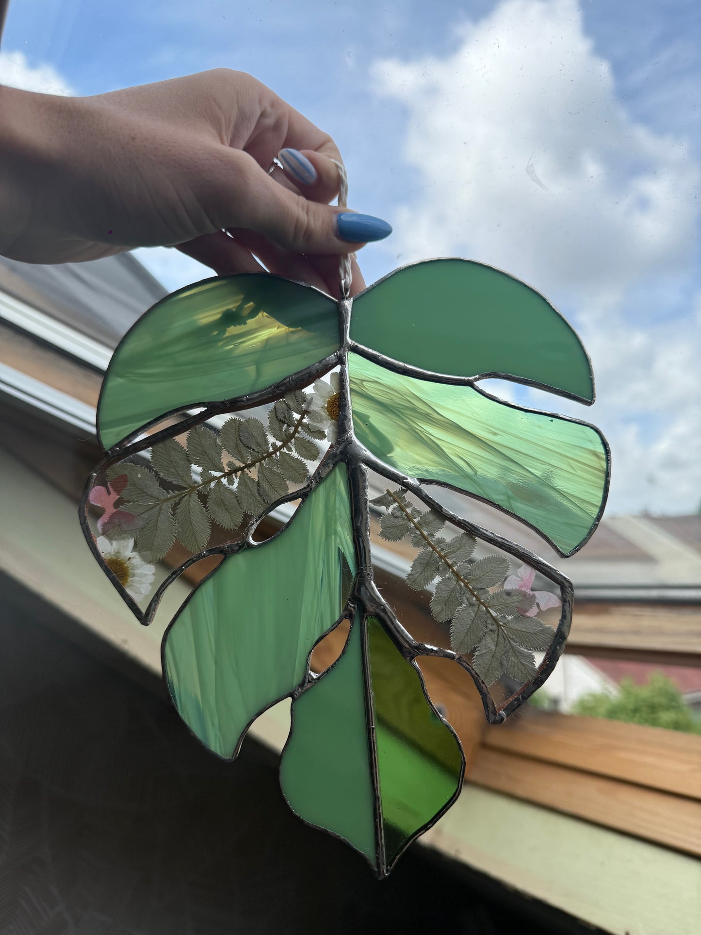 Monstrea fleur séchée