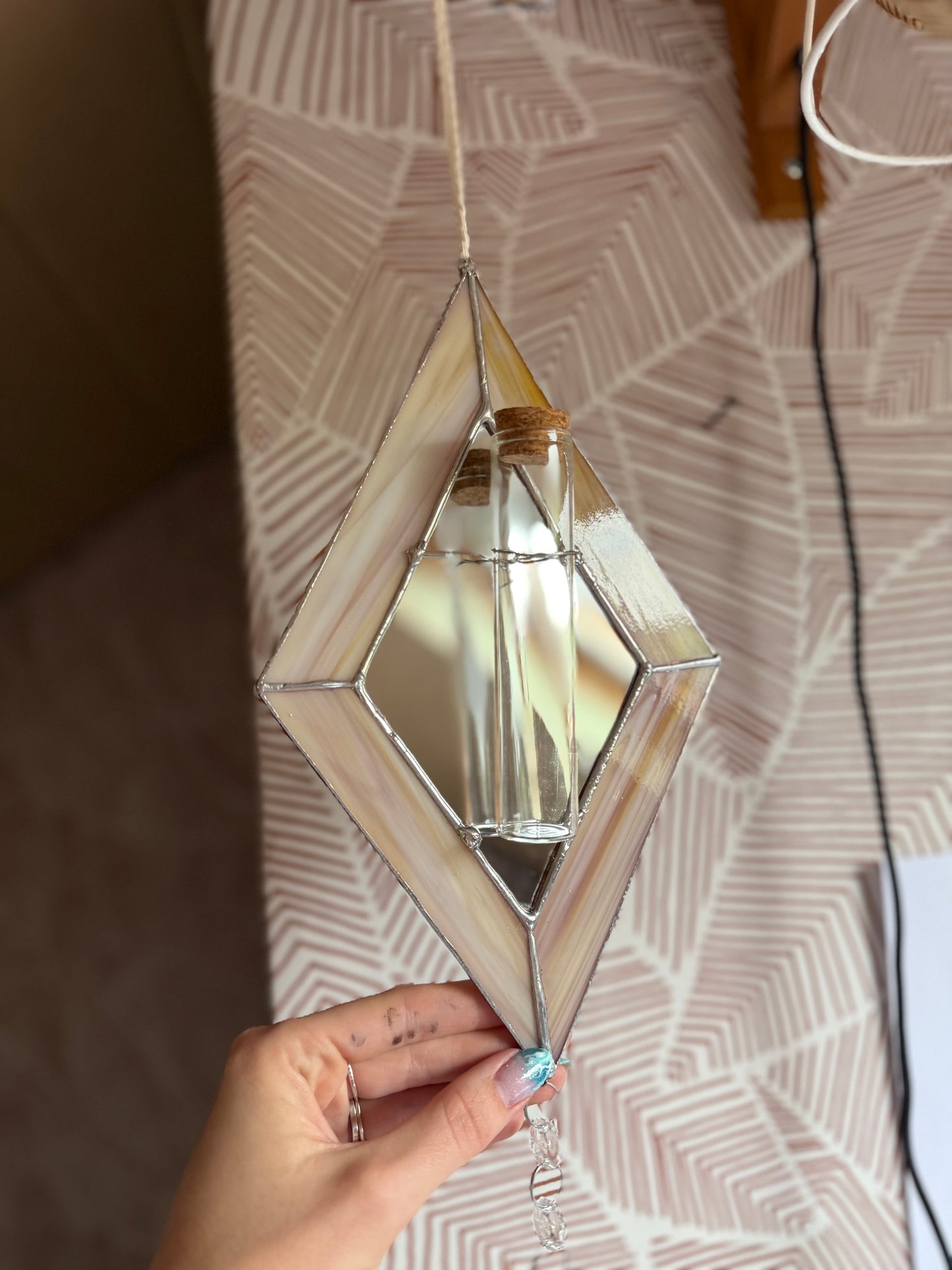 Terrarium plantes 🌱