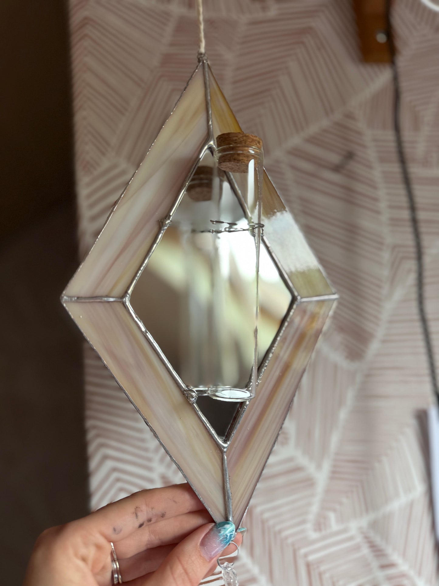 Terrarium plantes 🌱