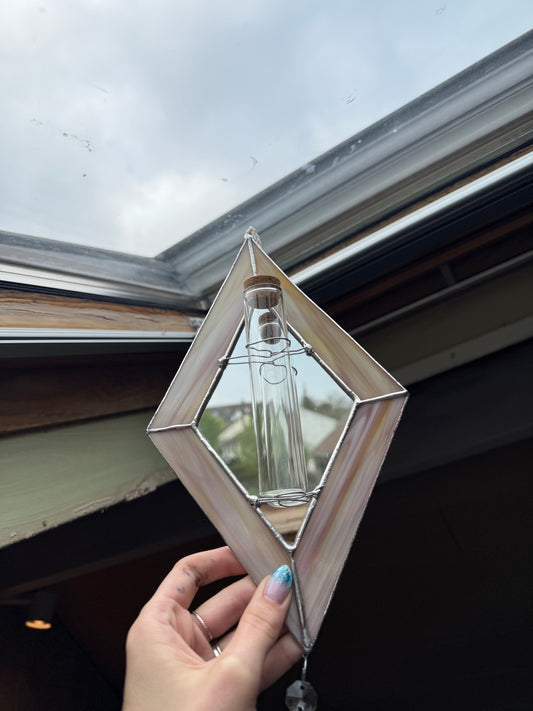 Terrarium plantes 🌱